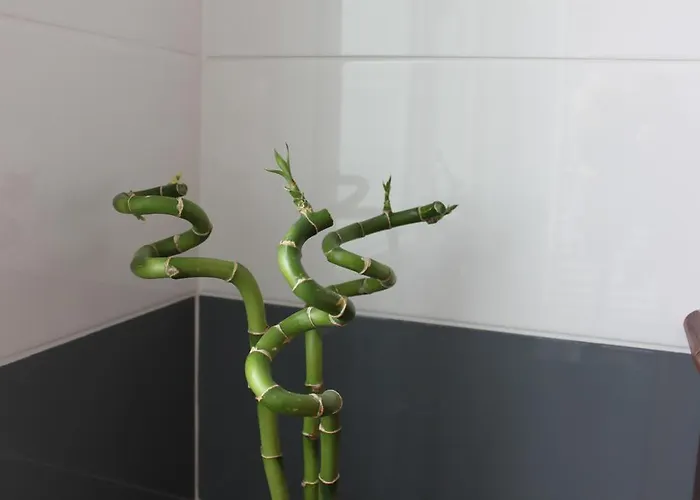 Au Coeur De Bed & Breakfast Beauvais